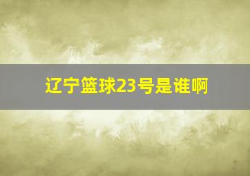 辽宁篮球23号是谁啊