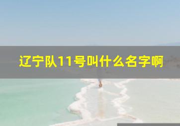 辽宁队11号叫什么名字啊