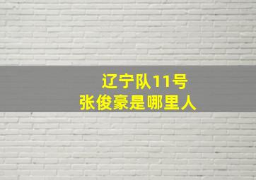 辽宁队11号张俊豪是哪里人