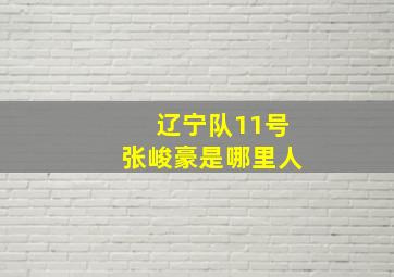 辽宁队11号张峻豪是哪里人