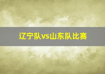 辽宁队vs山东队比赛