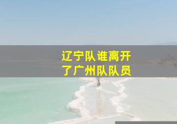 辽宁队谁离开了广州队队员