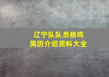 辽宁队队员杨鸣简历介绍资料大全