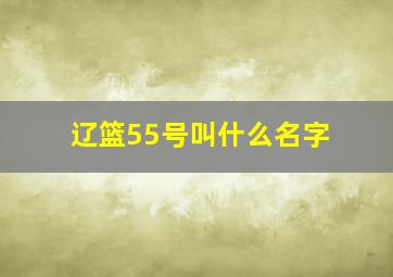 辽篮55号叫什么名字