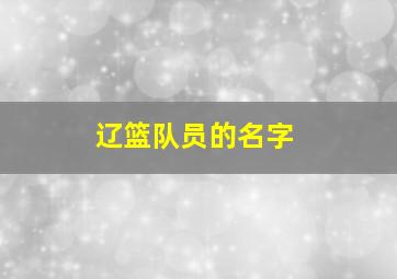 辽篮队员的名字