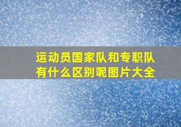 运动员国家队和专职队有什么区别呢图片大全