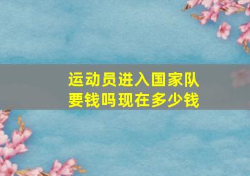 运动员进入国家队要钱吗现在多少钱