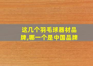 这几个羽毛球器材品牌,哪一个是中国品牌