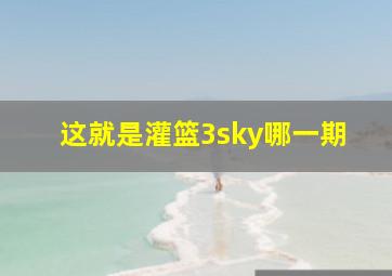 这就是灌篮3sky哪一期