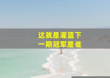 这就是灌篮下一期冠军是谁