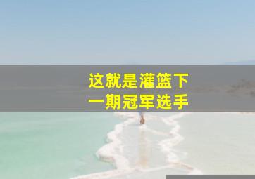 这就是灌篮下一期冠军选手