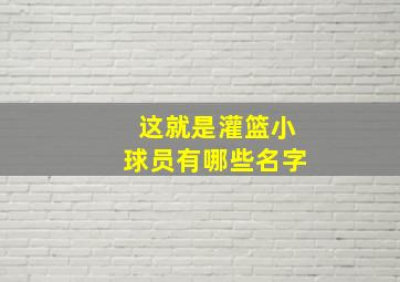 这就是灌篮小球员有哪些名字