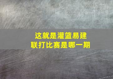 这就是灌篮易建联打比赛是哪一期