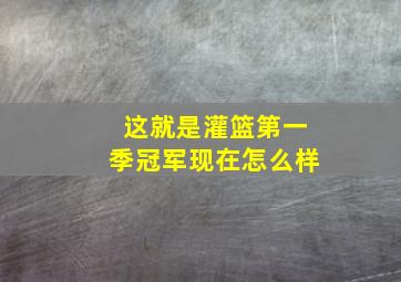 这就是灌篮第一季冠军现在怎么样