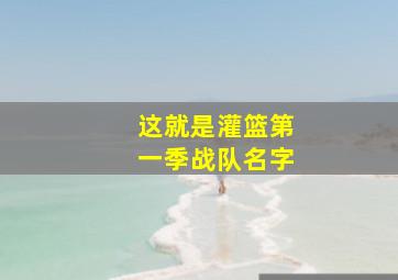 这就是灌篮第一季战队名字