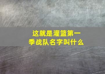 这就是灌篮第一季战队名字叫什么