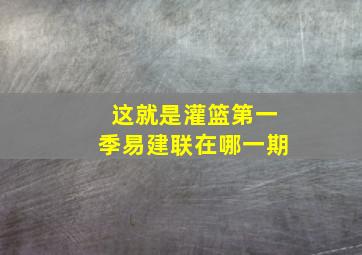 这就是灌篮第一季易建联在哪一期