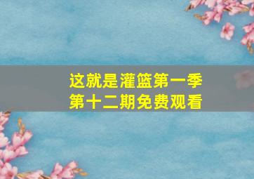 这就是灌篮第一季第十二期免费观看