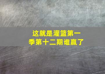 这就是灌篮第一季第十二期谁赢了