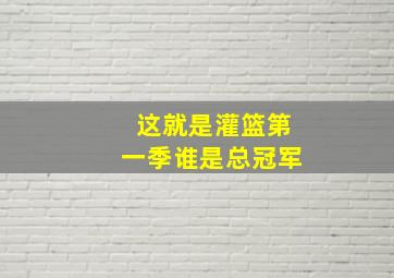 这就是灌篮第一季谁是总冠军