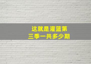 这就是灌篮第三季一共多少期