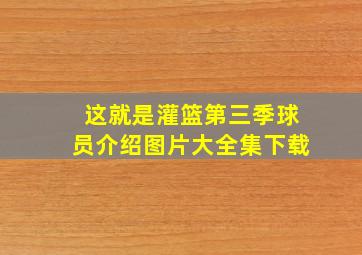 这就是灌篮第三季球员介绍图片大全集下载