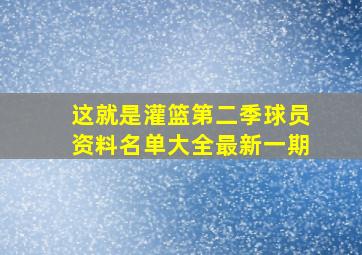 这就是灌篮第二季球员资料名单大全最新一期