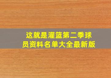 这就是灌篮第二季球员资料名单大全最新版