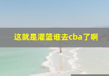 这就是灌篮谁去cba了啊