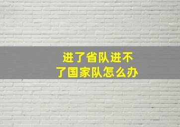 进了省队进不了国家队怎么办