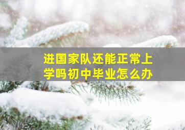 进国家队还能正常上学吗初中毕业怎么办