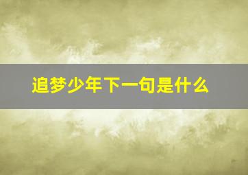 追梦少年下一句是什么