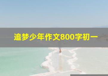 追梦少年作文800字初一