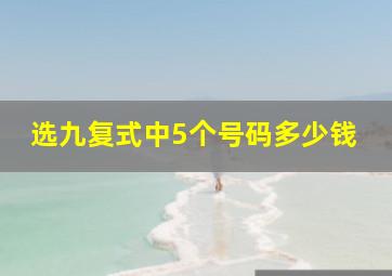 选九复式中5个号码多少钱