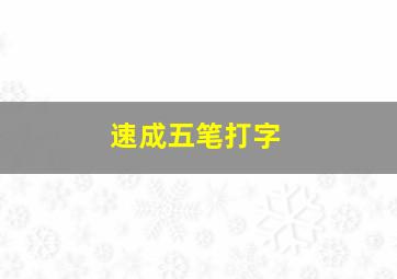 速成五笔打字