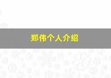 郑伟个人介绍