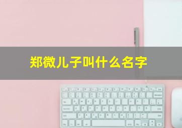 郑微儿子叫什么名字