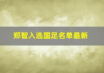 郑智入选国足名单最新