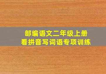 部编语文二年级上册看拼音写词语专项训练