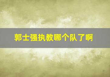 郭士强执教哪个队了啊