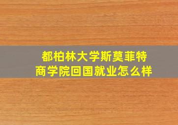 都柏林大学斯莫菲特商学院回国就业怎么样