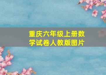 重庆六年级上册数学试卷人教版图片