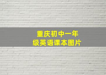 重庆初中一年级英语课本图片