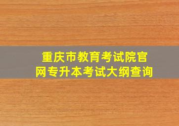 重庆市教育考试院官网专升本考试大纲查询