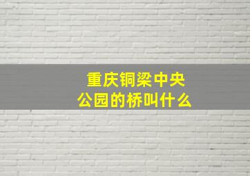 重庆铜梁中央公园的桥叫什么