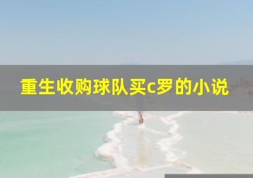 重生收购球队买c罗的小说