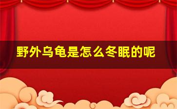 野外乌龟是怎么冬眠的呢