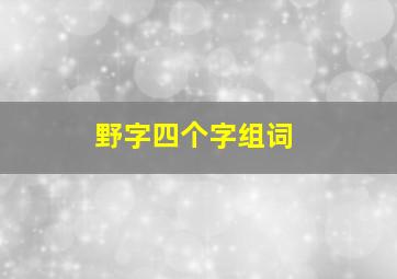 野字四个字组词