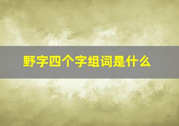 野字四个字组词是什么