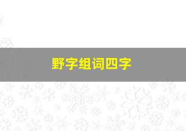 野字组词四字